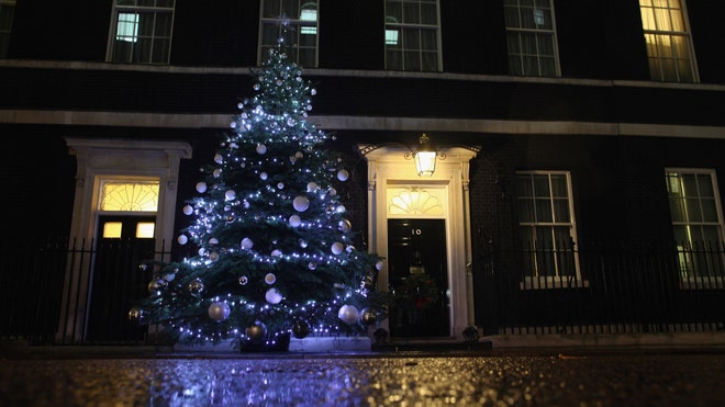christmas tree 3.jpg